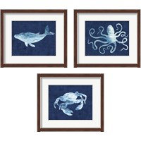 Framed Sealife on Blue 3 Piece Framed Art Print Set