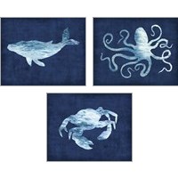 Framed Sealife on Blue 3 Piece Art Print Set