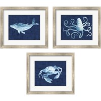 Framed Sealife on Blue 3 Piece Framed Art Print Set