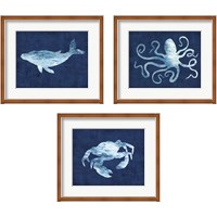 Framed 'Sealife on Blue 3 Piece Framed Art Print Set' border=