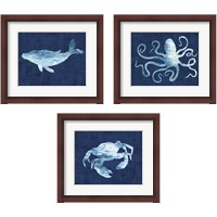 Framed 'Sealife on Blue 3 Piece Framed Art Print Set' border=