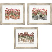 Framed Potted Geranium Mix 3 Piece Framed Art Print Set