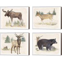 Framed 'Wilderness Collection 4 Piece Canvas Print Set' border=
