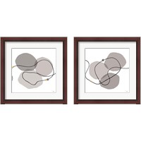 Framed Sinuous Trajectory grey 2 Piece Framed Art Print Set