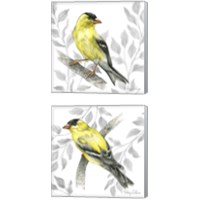 Framed 'Backyard Birds 2 Piece Canvas Print Set' border=