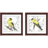 Framed Backyard Birds 2 Piece Framed Art Print Set