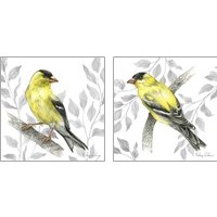 Framed 'Backyard Birds 2 Piece Art Print Set' border=