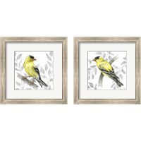 Framed Backyard Birds 2 Piece Framed Art Print Set