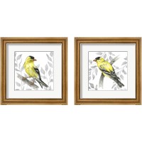 Framed 'Backyard Birds 2 Piece Framed Art Print Set' border=