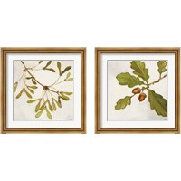 Framed 'Tree Branch 2 Piece Framed Art Print Set' border=