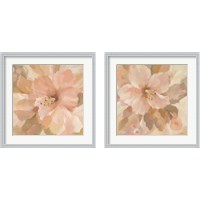 Framed 'Sweet Boho Flower 2 Piece Framed Art Print Set' border=