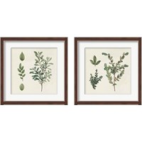 Framed Victorian Garden Chart 2 Piece Framed Art Print Set