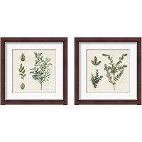 Framed Victorian Garden Chart 2 Piece Framed Art Print Set