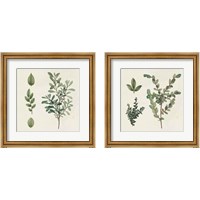 Framed Victorian Garden Chart 2 Piece Framed Art Print Set