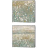 Framed Rain Abstract Neutral 2 Piece Canvas Print Set