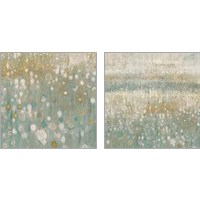 Framed Rain Abstract Neutral 2 Piece Art Print Set