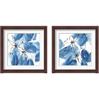 Framed Indigo Neutrals 2 Piece Framed Art Print Set