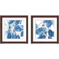 Framed Indigo Neutrals 2 Piece Framed Art Print Set