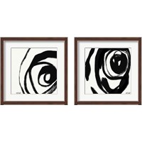 Framed Black and White Abstract 2 Piece Framed Art Print Set