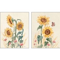 Framed 'Sunflower Season  2 Piece Art Print Set' border=
