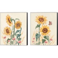 Framed 'Sunflower Season  2 Piece Canvas Print Set' border=