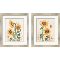 Framed 'Sunflower Season  2 Piece Framed Art Print Set' border=