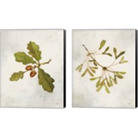 Framed 'Tree Branch 2 Piece Canvas Print Set' border=