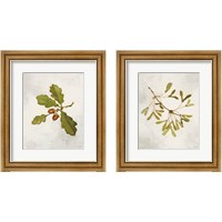 Framed 'Tree Branch 2 Piece Framed Art Print Set' border=