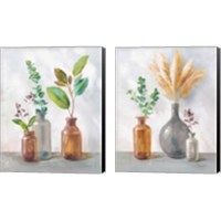 Framed 'Natural Riches Charcoal 2 Piece Canvas Print Set' border=