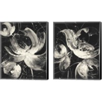 Framed Bold Dark Vertical 2 Piece Canvas Print Set