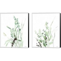 Framed 'Grasses  2 Piece Canvas Print Set' border=