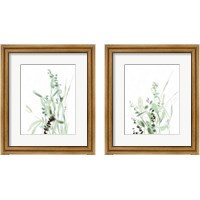 Framed Grasses  2 Piece Framed Art Print Set