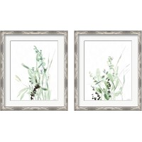 Framed 'Grasses  2 Piece Framed Art Print Set' border=