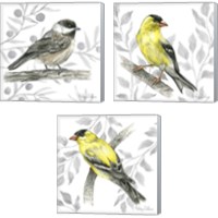 Framed 'Backyard Birds 3 Piece Canvas Print Set' border=