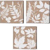 Framed 'Leaves of Inspiration 3 Piece Canvas Print Set' border=