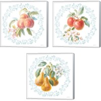 Framed 'Blooming Orchard 3 Piece Canvas Print Set' border=