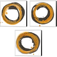 Framed 'Amber Enso 3 Piece Canvas Print Set' border=