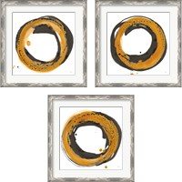 Framed 'Amber Enso 3 Piece Framed Art Print Set' border=
