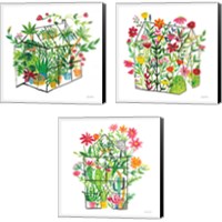 Framed 'Greenhouse Blooming 3 Piece Canvas Print Set' border=