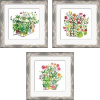 Framed 'Greenhouse Blooming 3 Piece Framed Art Print Set' border=