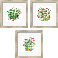 Framed Greenhouse Blooming 3 Piece Framed Art Print Set