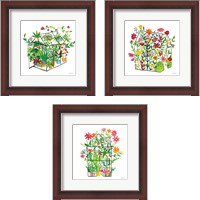 Framed 'Greenhouse Blooming 3 Piece Framed Art Print Set' border=