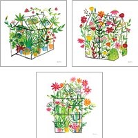 Framed 'Greenhouse Blooming 3 Piece Art Print Set' border=