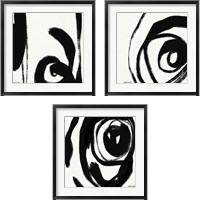 Framed 'Black and White Abstract 3 Piece Framed Art Print Set' border=