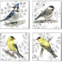 Framed 'Backyard Birds 4 Piece Canvas Print Set' border=