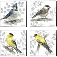 Framed 'Backyard Birds 4 Piece Canvas Print Set' border=