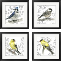 Framed 'Backyard Birds 4 Piece Framed Art Print Set' border=