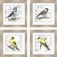 Framed 'Backyard Birds 4 Piece Framed Art Print Set' border=