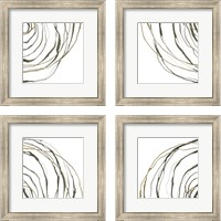 Framed 'Not Quite Concentric 4 Piece Framed Art Print Set' border=