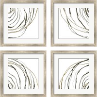 Framed 'Not Quite Concentric 4 Piece Framed Art Print Set' border=